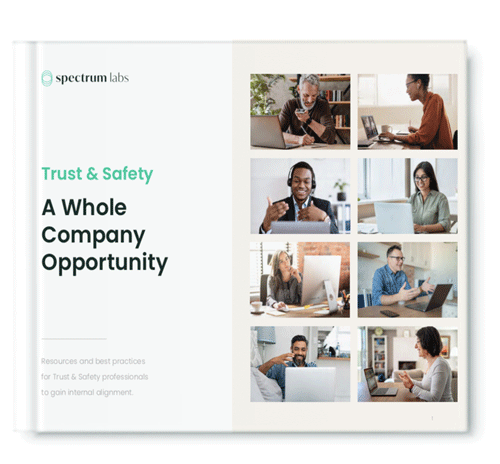 trust-and-safety-whitepaper-2